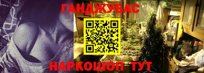 apvp Славгород