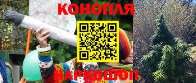 apvp Славгород