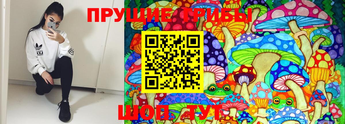 Салават  Псилоцибиновые грибы Psilocybine cubensis  Вход с VPN 